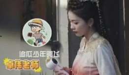 爆料猛料白鹿视频,揭秘娱乐圈不为人知的幕后真相