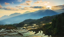 罪美丽在线观看,在线观看，揭开都市背后的黑暗面