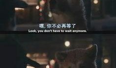 忠犬无言电影在线观看,忠诚守护，生死相依