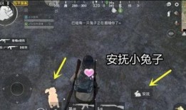 和平精英新宠物爆料视频