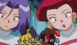 大雄娱乐爆料,揭秘娱乐圈最新动态