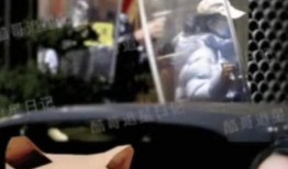 狗仔爆料杨颖视频大全播放,杨颖视频大全精彩瞬间大揭秘