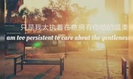 dj视频大全爆料,精彩瞬间抢先看！