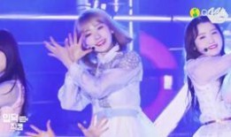 小樱花爆料新歌视频播放,视觉盛宴，音乐魅力即将绽放