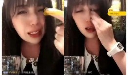 舞帝利哥艺人爆料视频在线观看,揭秘娱乐圈幕后真相