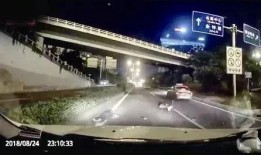 最新温州爆料事件视频完整版,视频完整版揭露惊人真相