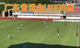 踢假球的爆料视频大全,踢假球视频大全深度解析