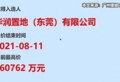 东莞国贸爆料最新消息今天,今日热点事件深度解析！”