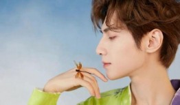 圈内八卦爆料罗云熙,揭秘娱乐圈背后的神秘恋情