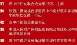 在汉中有新闻要爆料找谁,揭秘新闻背后的真相，权威人士为您揭晓
