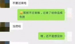 吃瓜群免费聊天记录下载,免费聊天记录背后的欢乐与秘密