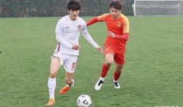 爆料中国足球队视频,汗水铸就辉煌