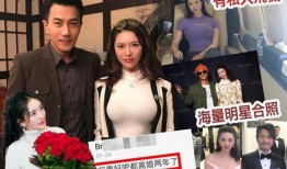 娱乐圈爆料离婚,明星夫妻宣布离婚，真相揭秘！