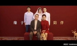 忠犬无言电影在线观看,忠诚守护，生死相依