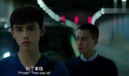 秘果在线免费观看,揭秘青春校园的甜蜜与苦涩