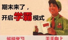 爆料日记第63集视频,揭秘惊人内幕，真相大白！