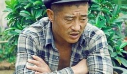 赵四爆料刘总被绿视频在线观看,一场网络风波背后的真相揭秘