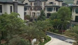 恒哥最新爆料电话