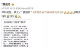 深圳炒房最新爆料,最新爆料揭露疯狂炒房现象