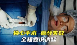 麻药网在线观看