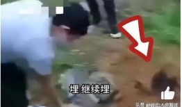 缅北爆料视频是真的么,真相还是谣言？