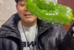 吃瓜事件东南亚网红视频,揭秘网络红人的真实生活