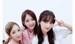 乐华娱乐七子爆料,娱乐圈背后的真实故事