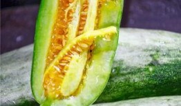 吃网红的瓜免费在哪里看,免费观看网红吃瓜盛宴的秘密通道