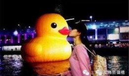 大黄鸭香港爆料视频大全,揭秘幕后真相与精彩瞬间