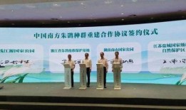 盐城旅行社爆料事件视频,揭秘旅游行业潜规则与消费者权益受损真相