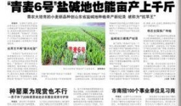 福建农大爆料新闻事件,惊曝校园内幕事件引发社会关注