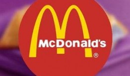 今日热点爆料创业,创业新风口，风口上的猪如何起飞？