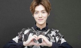 爆料鹿晗奶茶店视频播放,明星开店背后的故事