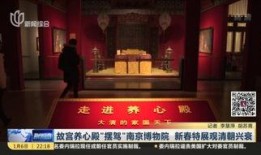 南京博物馆爆料事件视频,揭秘背后真相