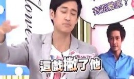 大陆爆料男艺人名单最新