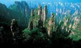 张家界吃瓜爆料新闻报道,揭秘当地美食背后的故事