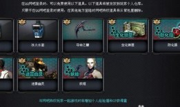 cf体验服最新爆料兰,新英雄崛起，体验服神秘爆料揭秘