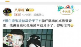 爆料猛料白鹿视频,揭秘娱乐圈不为人知的幕后真相