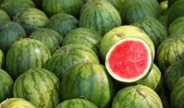 全娱乐吃瓜,揭秘娱乐圈背后的那些事儿