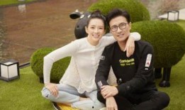 汪峰公开爆料章子怡视频,真相与争议