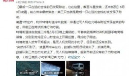 如何找到最新爆料新闻,追踪热点新闻的独家路径