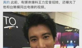 王力宏爆料合集视频播放,揭秘明星背后的故事与真相