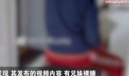 网友爆料小妞视频大全集,网友爆料，精彩瞬间一网打尽