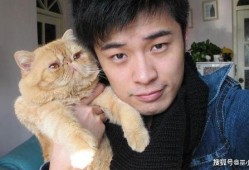 吃瓜娱乐赵小瞒小猫,吃瓜娱乐界的甜蜜萌宠