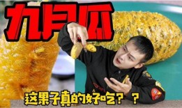 小说九月吃瓜免费阅读,一场神秘瓜农的奇幻之旅