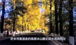 娱乐吃瓜君别墅,揭秘隐藏在豪宅背后的奢华生活