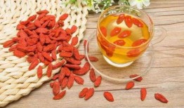 枸杞原浆制造爆料方法视频,一视频带你领略传统与现代工艺融合