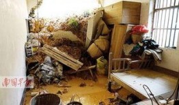 石头镇最新爆料,揭秘神秘事件背后的惊人真相