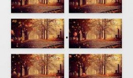 枫叶之路爆料视频最新,揭秘神秘旅程背后的精彩故事